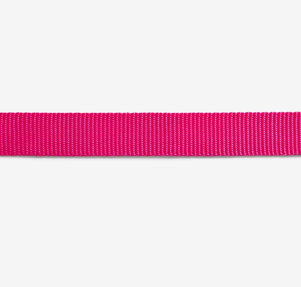 Zee Dog Classic Collar
