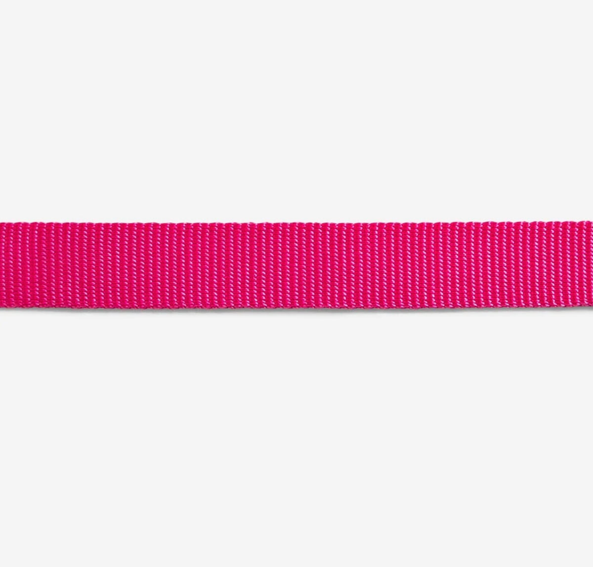 Zee Dog Classic Collar