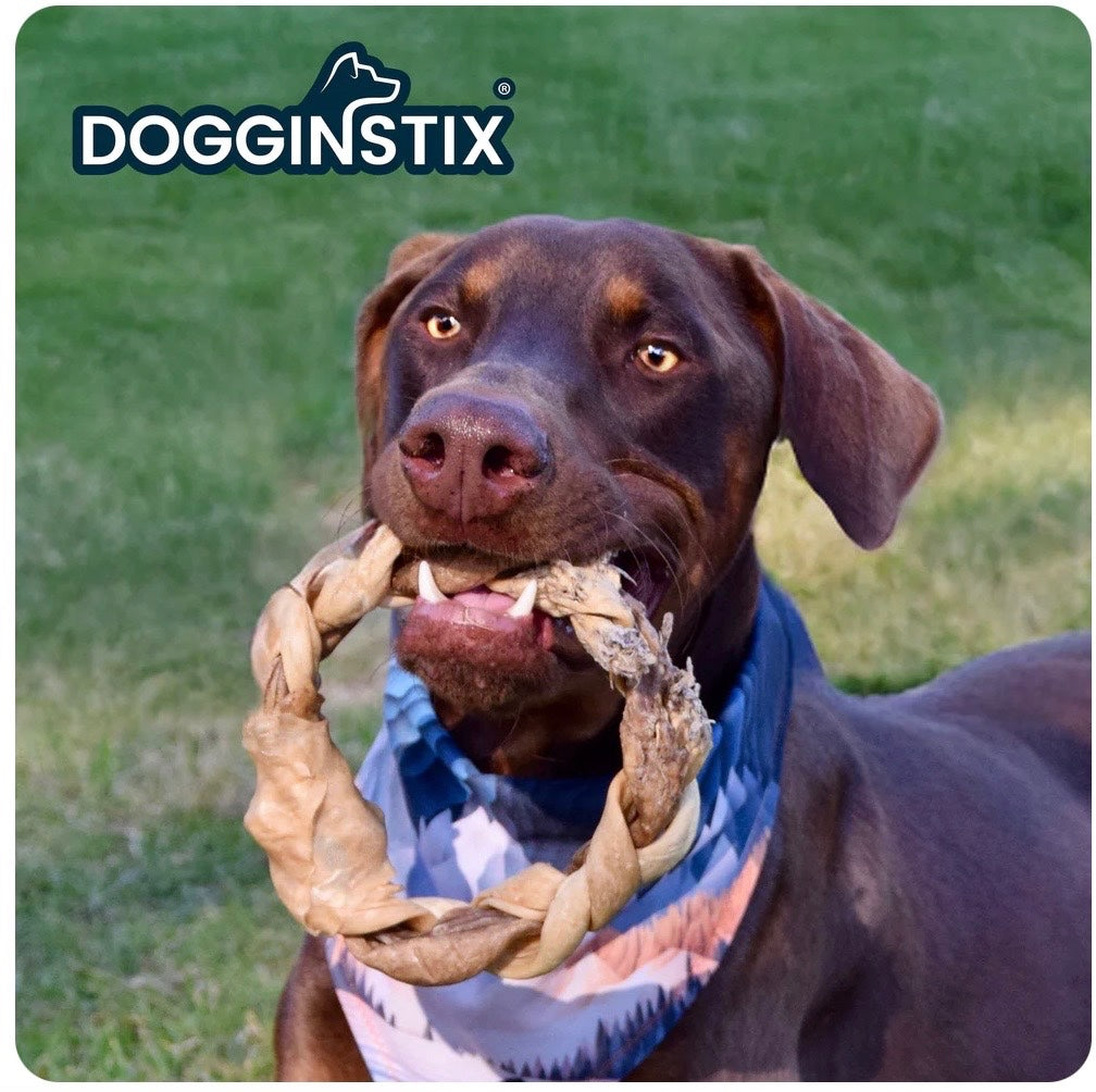 Dogginstix Braided Lamb Collagen Ring