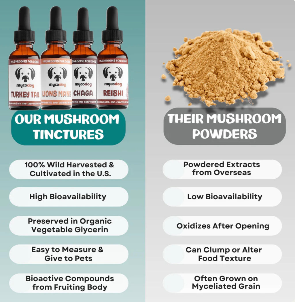 MyCoDog Mushroom Tinctures