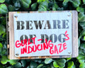 Beware Magnets