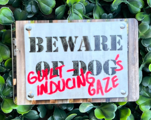 Beware Magnets
