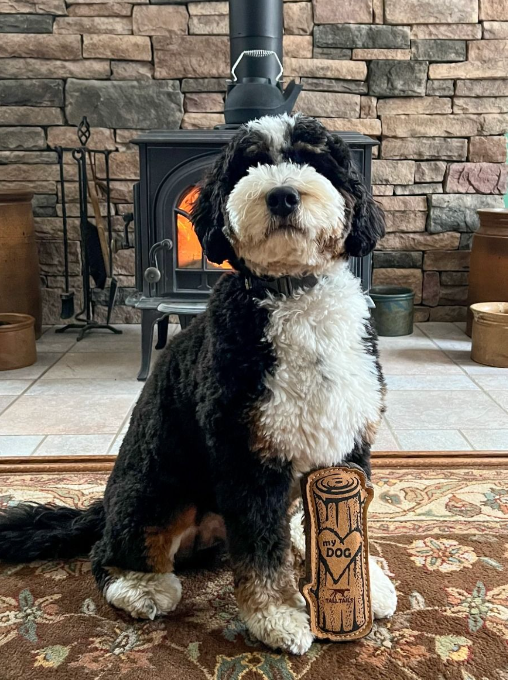 Tall Tails Leather "I love My Dog" Toy