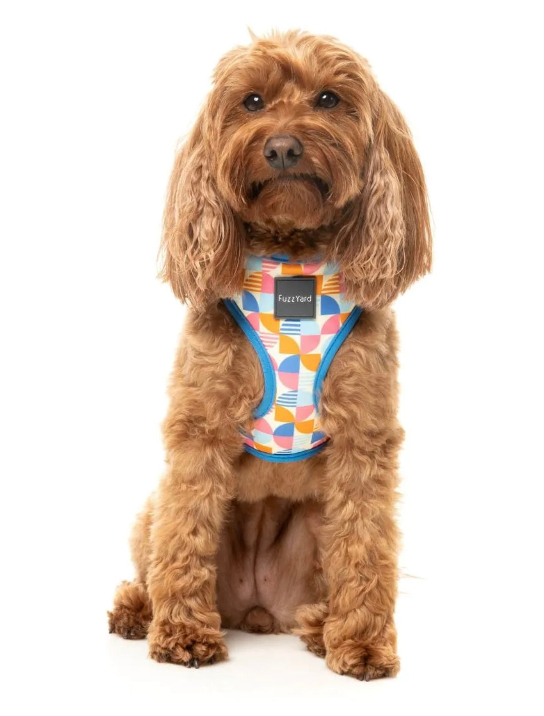 Fresh Zest Harness