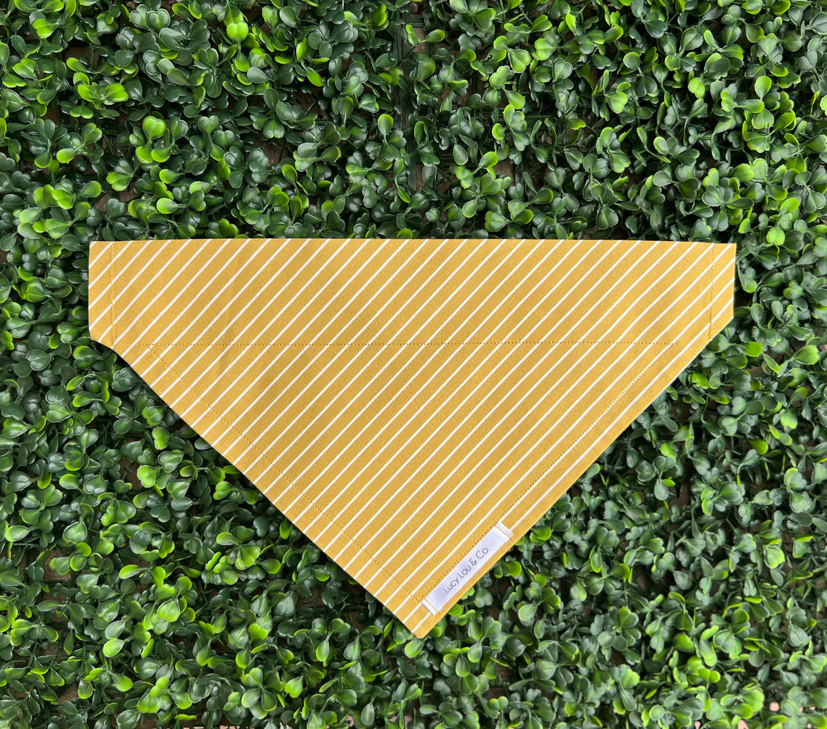 Lucy Lou and Co. Mustard Stripe Bandana