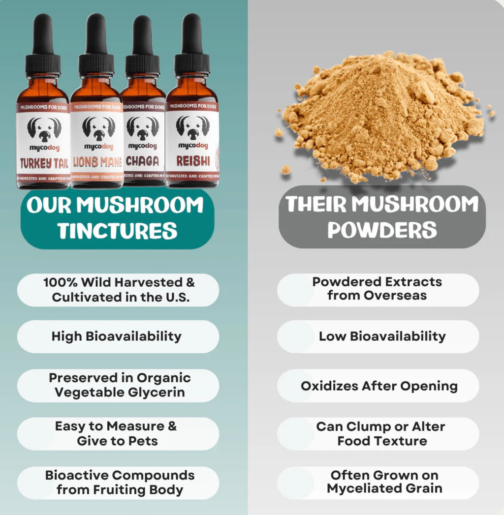 MyCoDog Mushroom Tinctures