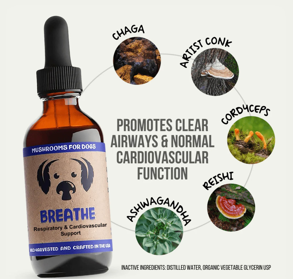 MyCoDog Mushroom Tinctures