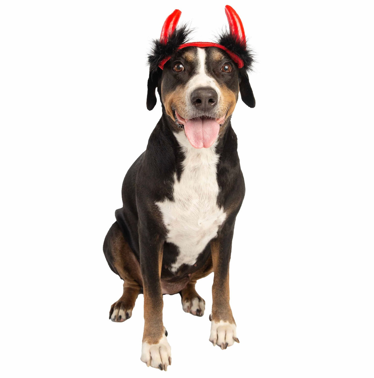 Devil Hat