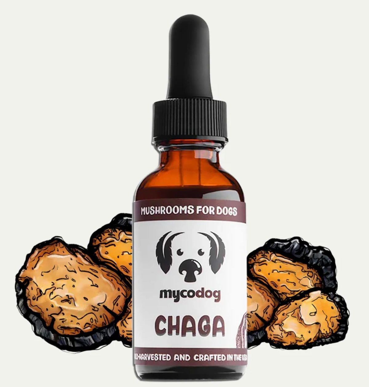 MyCoDog Mushroom Tinctures