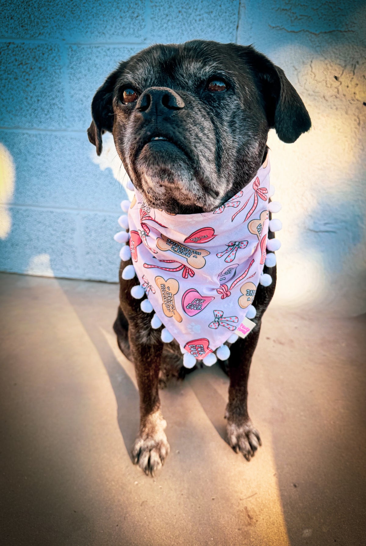 Valentine’s Day Bandanas