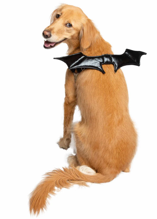 Bat Wings