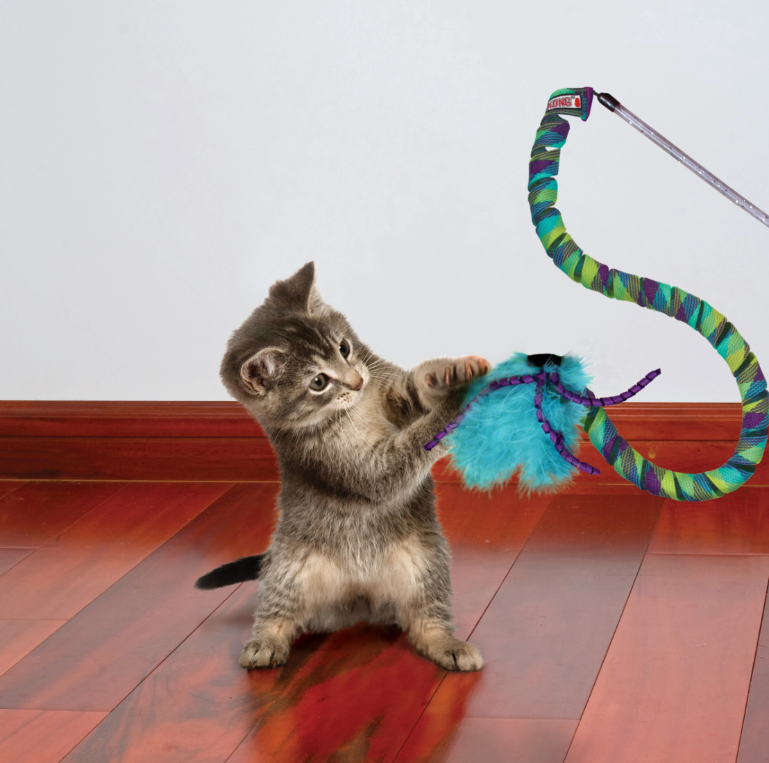 Kong Cat Teaser Curlz