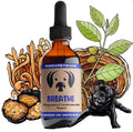 MyCoDog Mushroom Tinctures