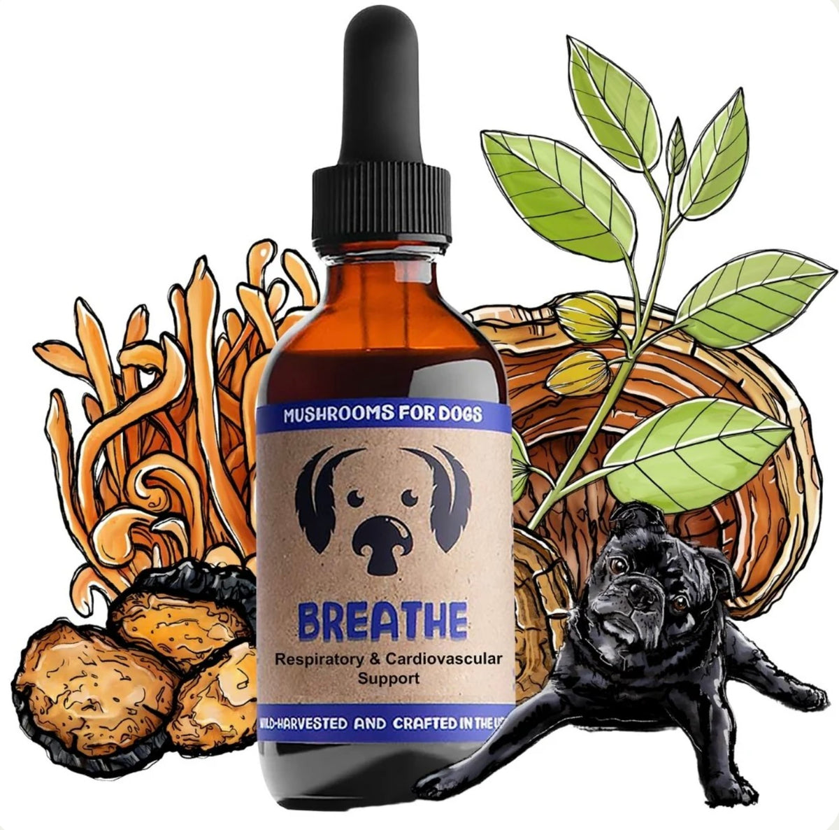 MyCoDog Mushroom Tinctures