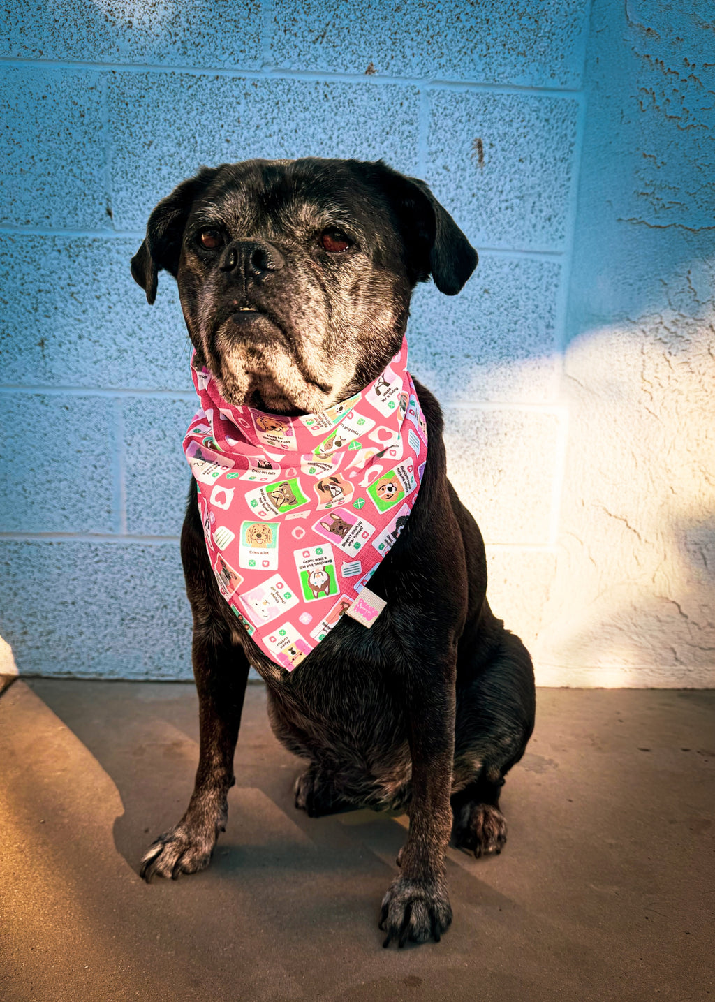 Valentine’s Day Bandanas