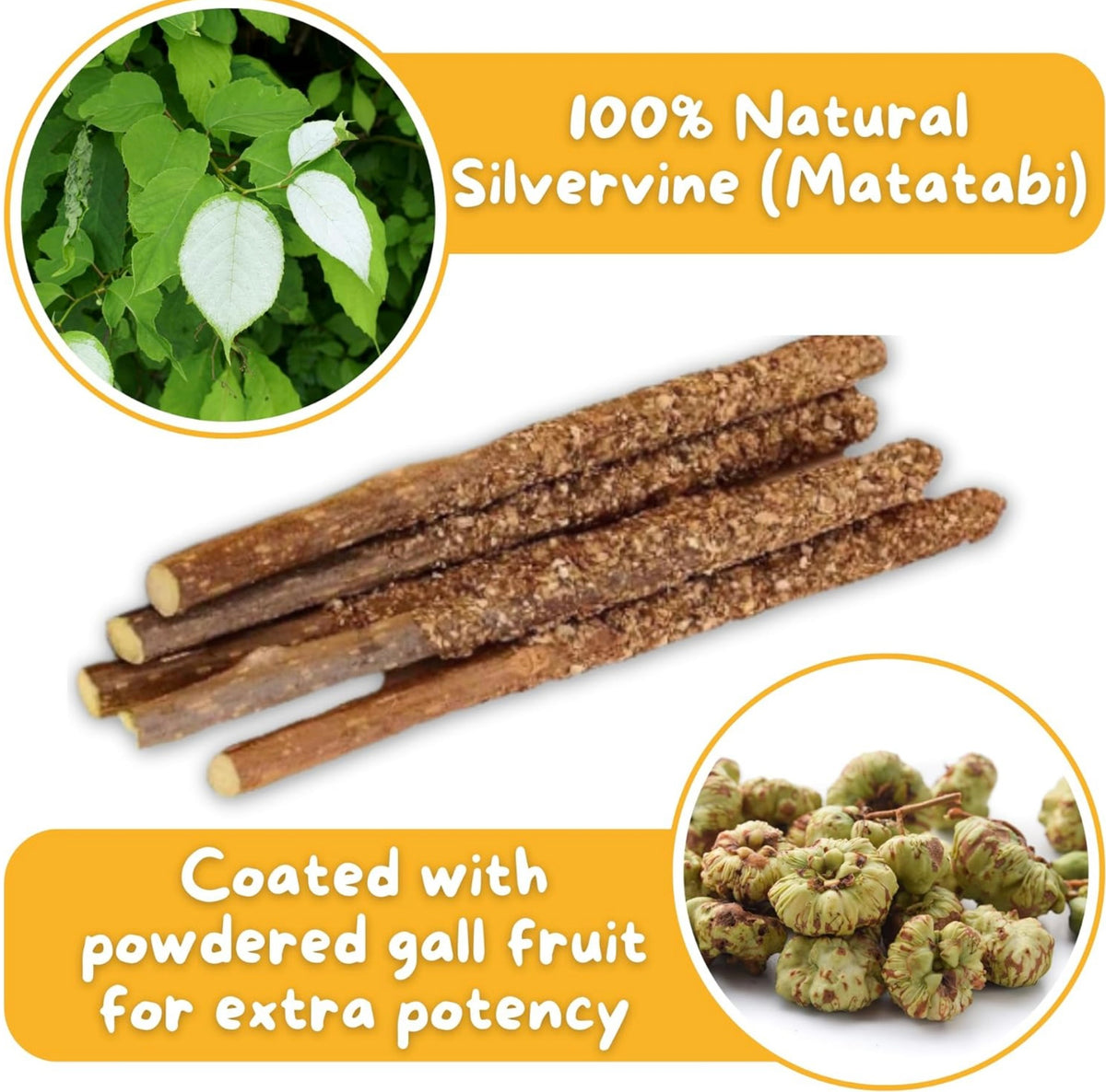 Silvervine Chew Sticks