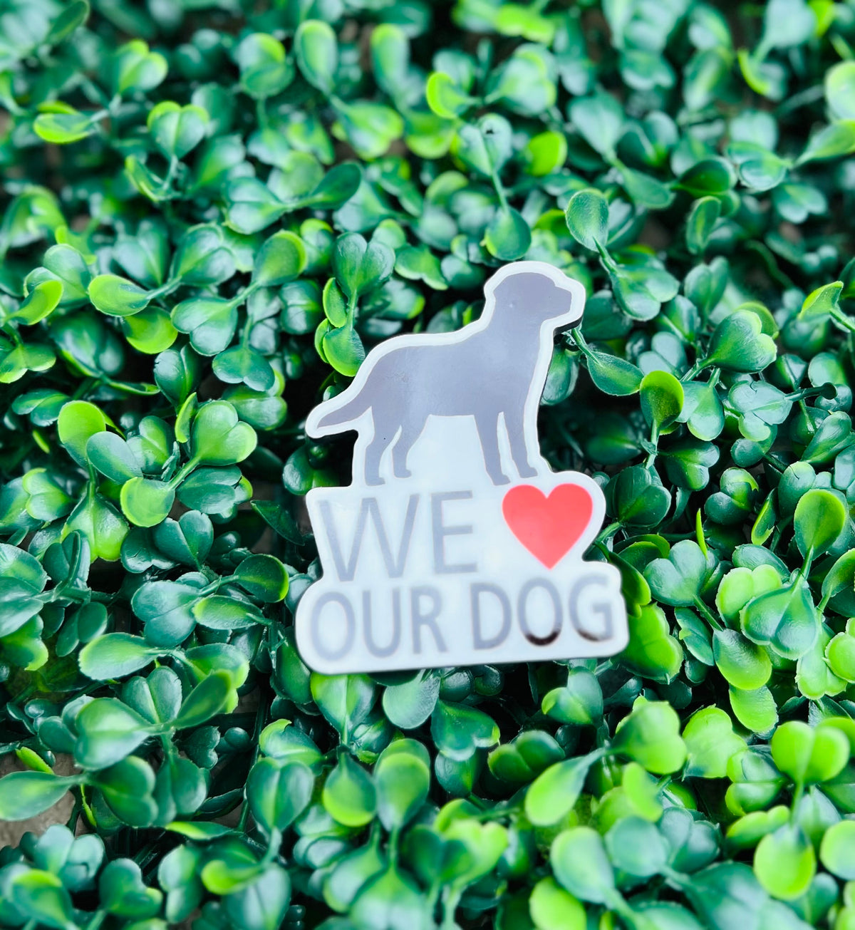I love my pet magnet