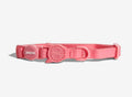 Zee Dog NeoPro Cat Collar