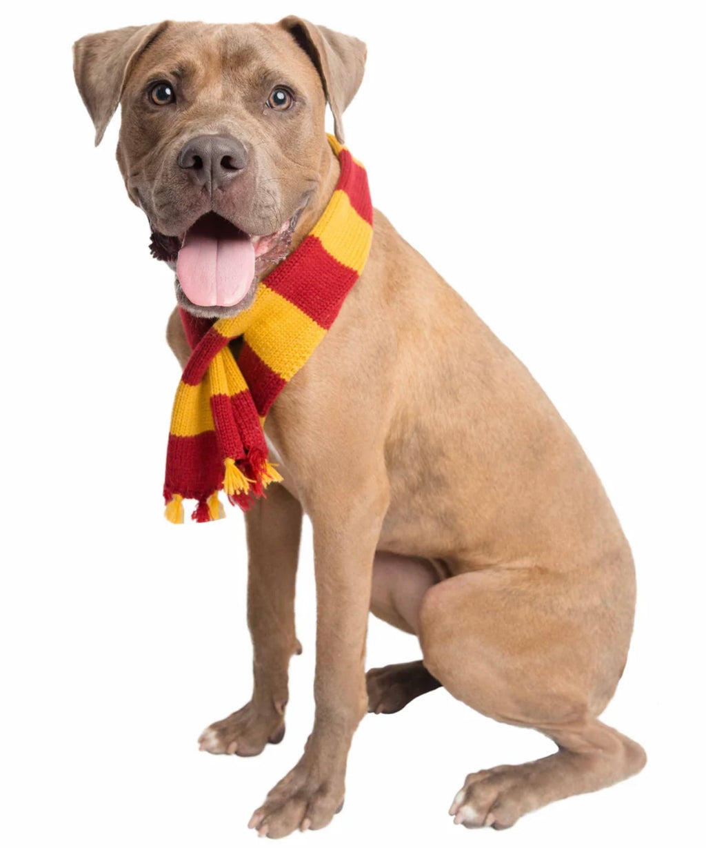 Hogwarts Wizard Scarf