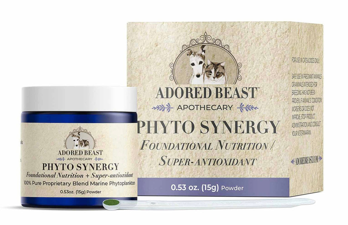 Phyto Synergy
