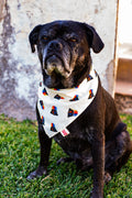 Darth Vader Bandana