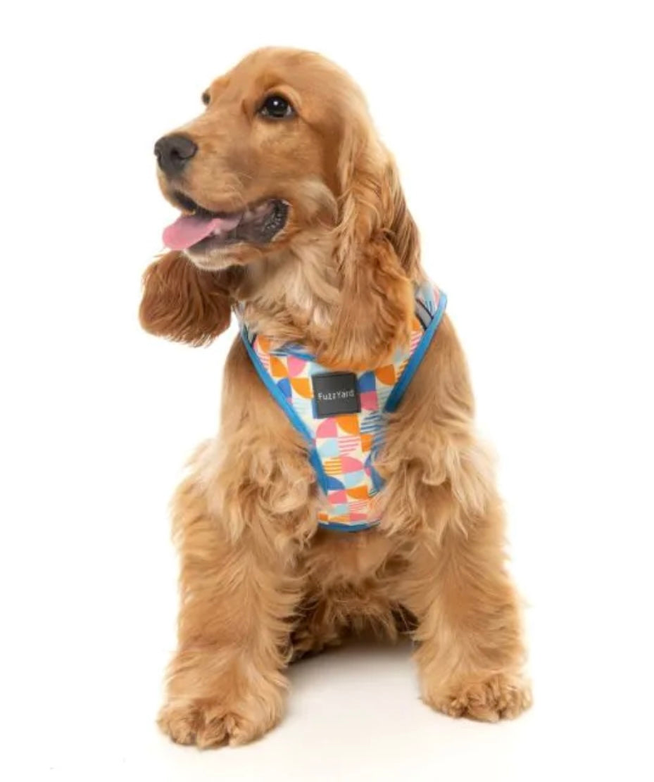 Fresh Zest Harness