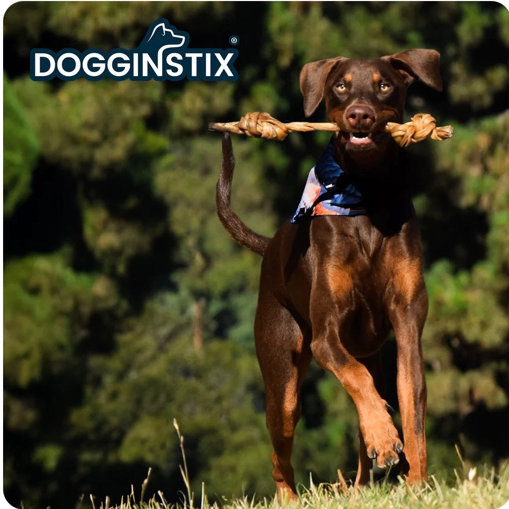 Dogginstix Braided Lamb Collagen Double Knot