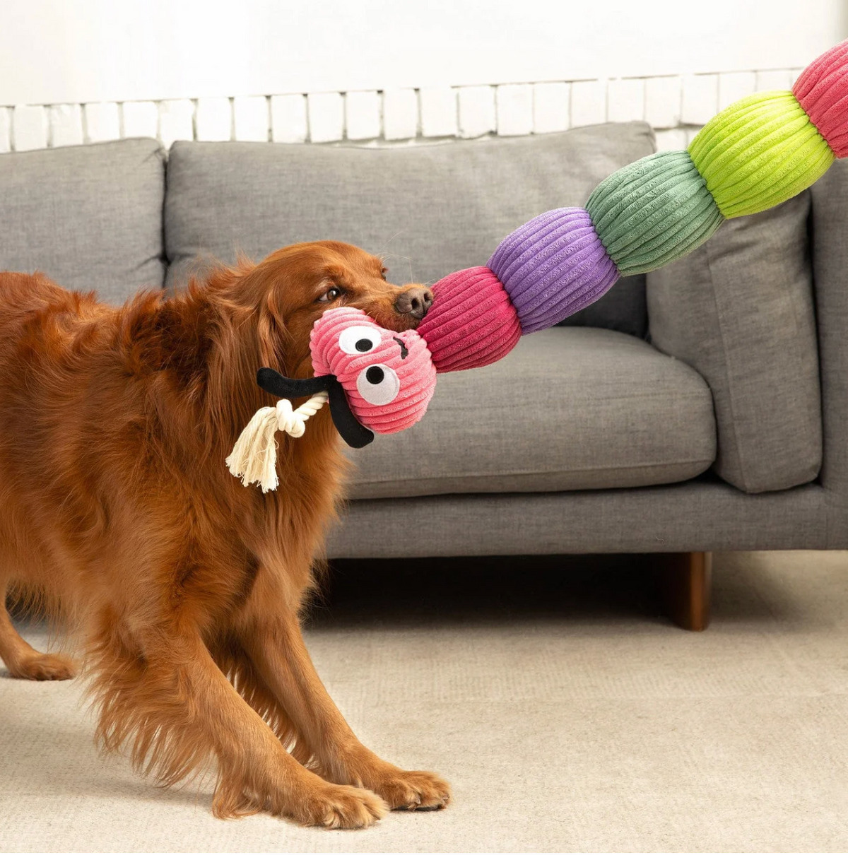 Patchwork Pets Rope Caterpillar 45"