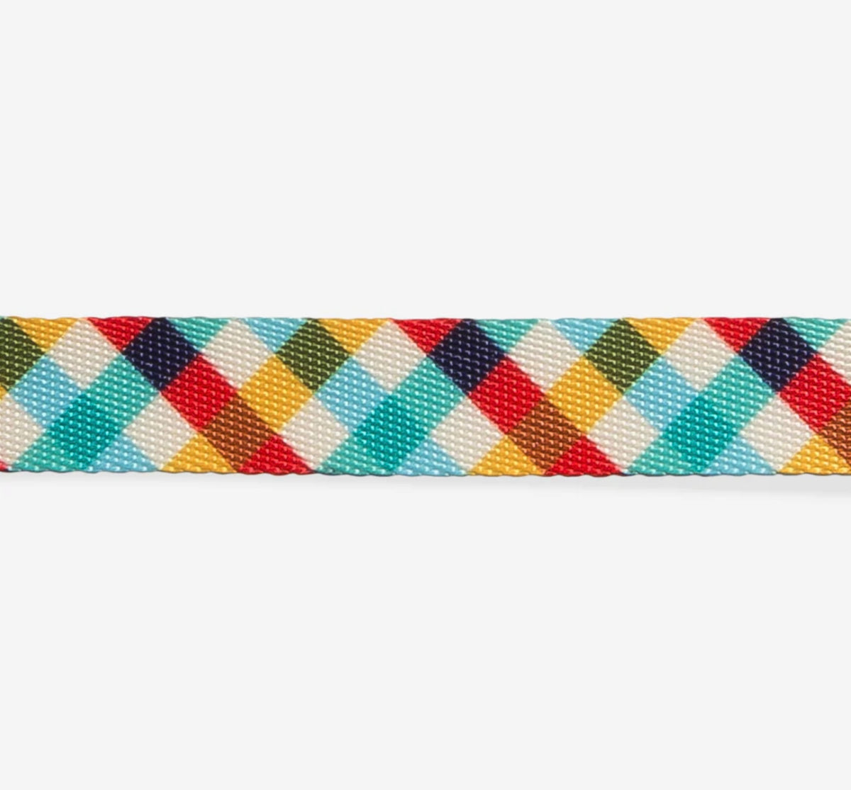 Zee Dog Classic Collar