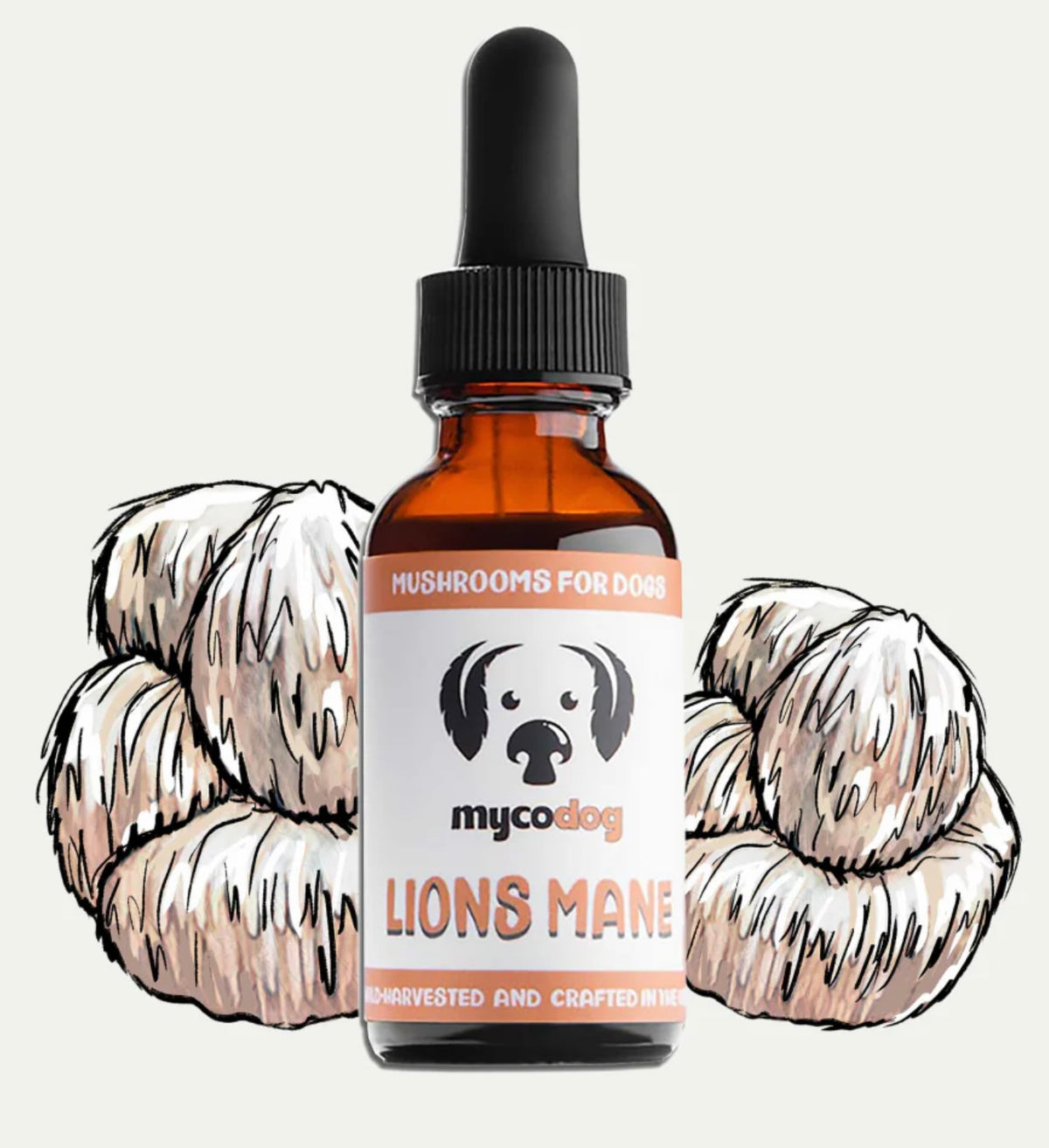 MyCoDog Mushroom Tinctures