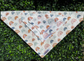 Lucy Lou and Co.White Rainbow Bandana