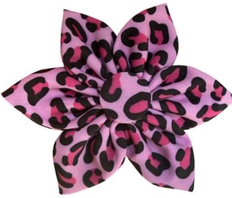 Pink Leopard Pinwheel