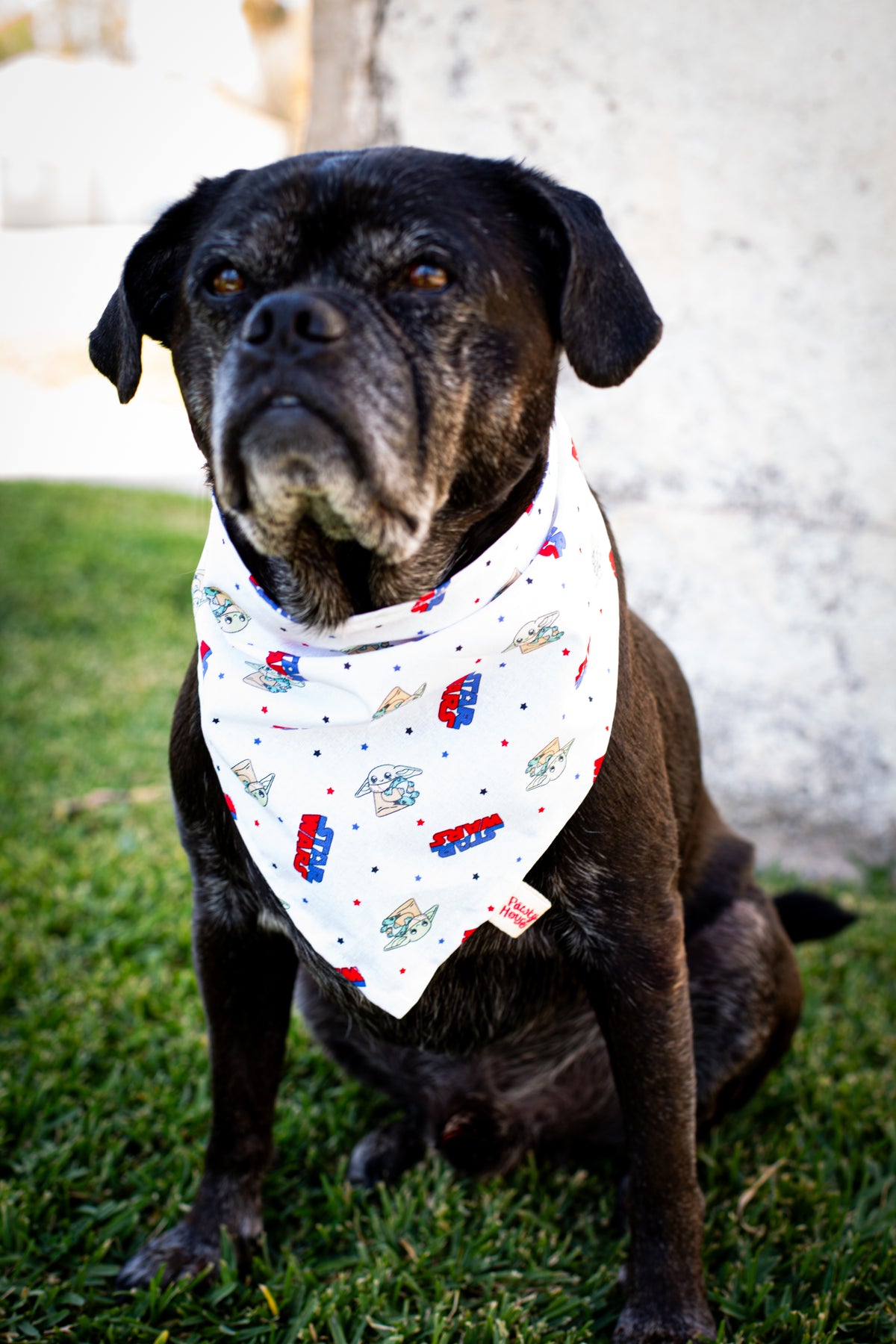 Grogu Bandana
