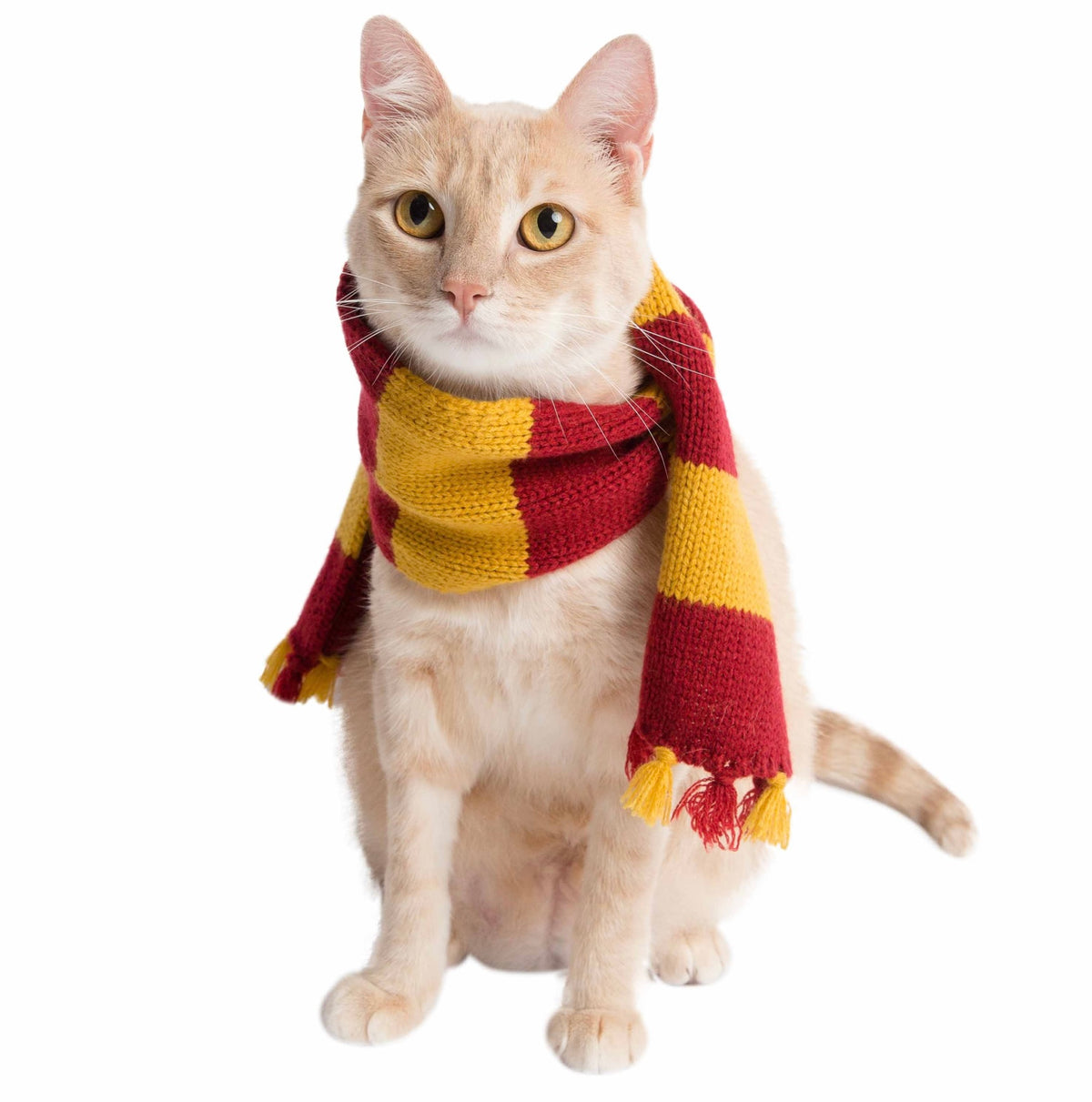 Hogwarts Wizard Scarf