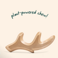 Woof Honest Chew