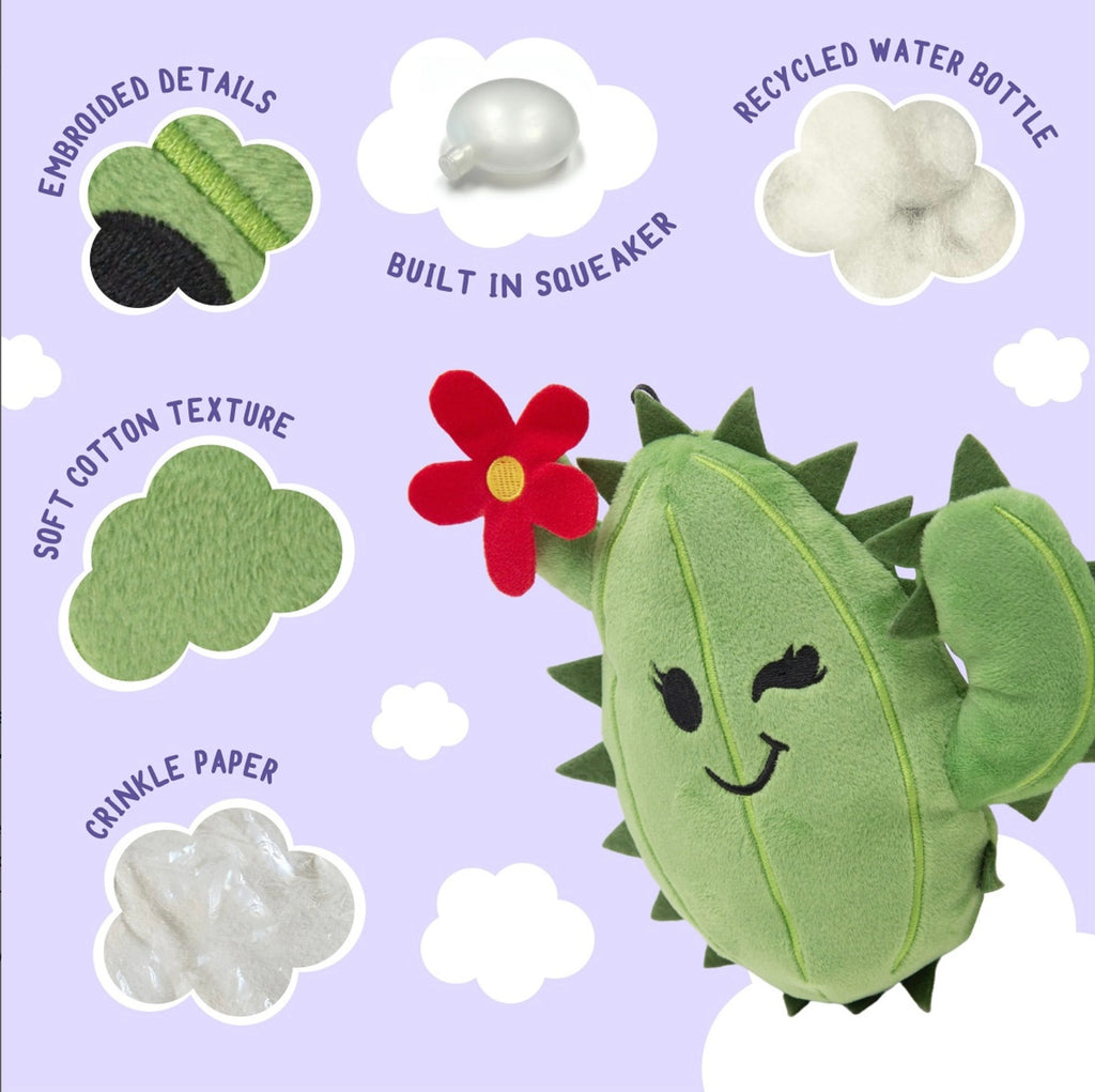 Chloe Cactus Squeaky Toy