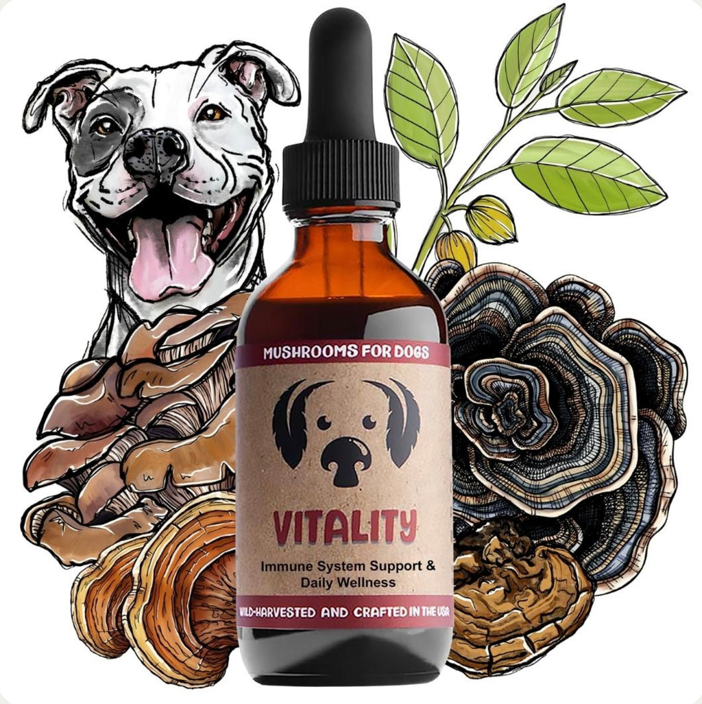 MyCoDog Mushroom Tinctures