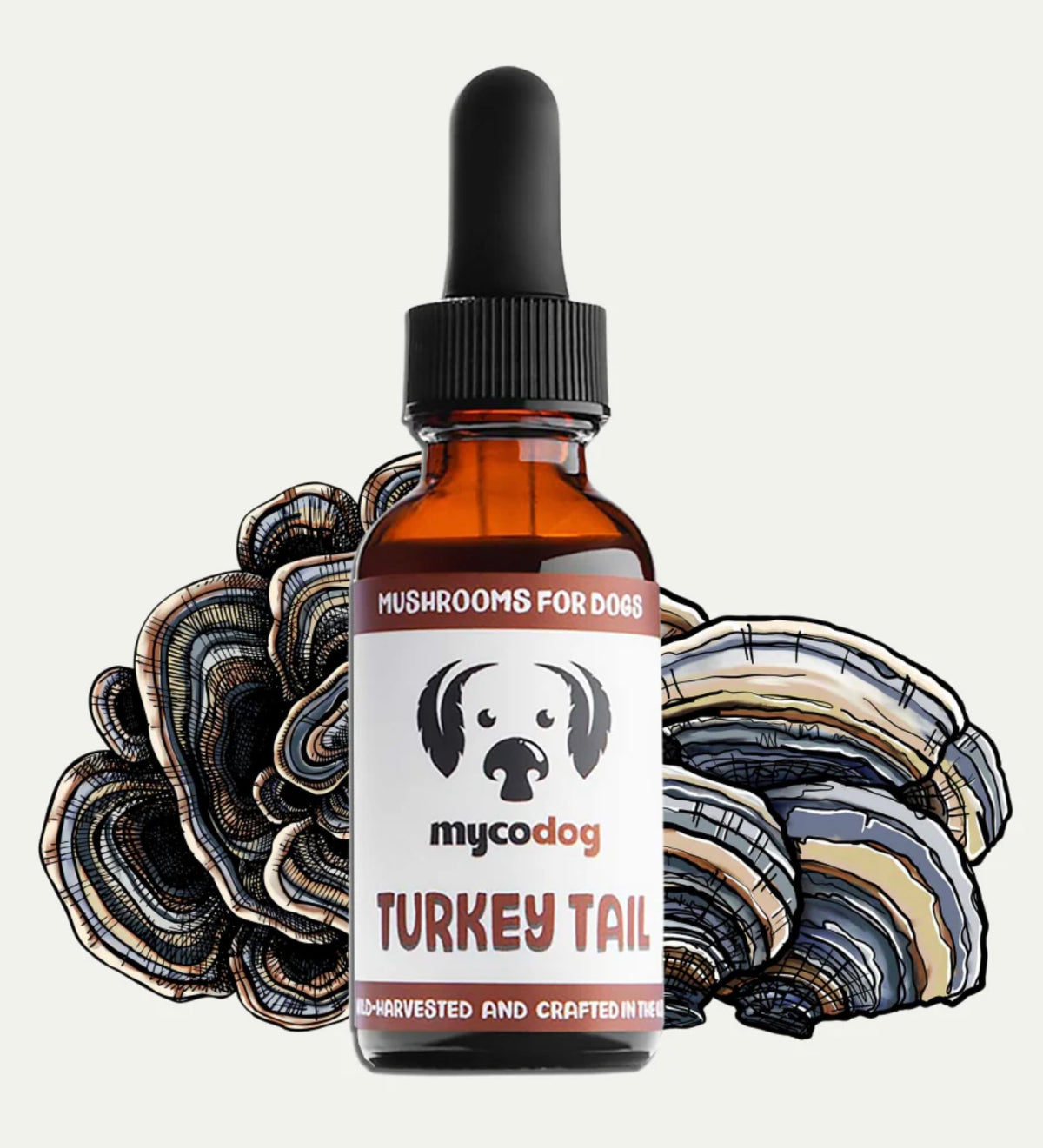 MyCoDog Mushroom Tinctures