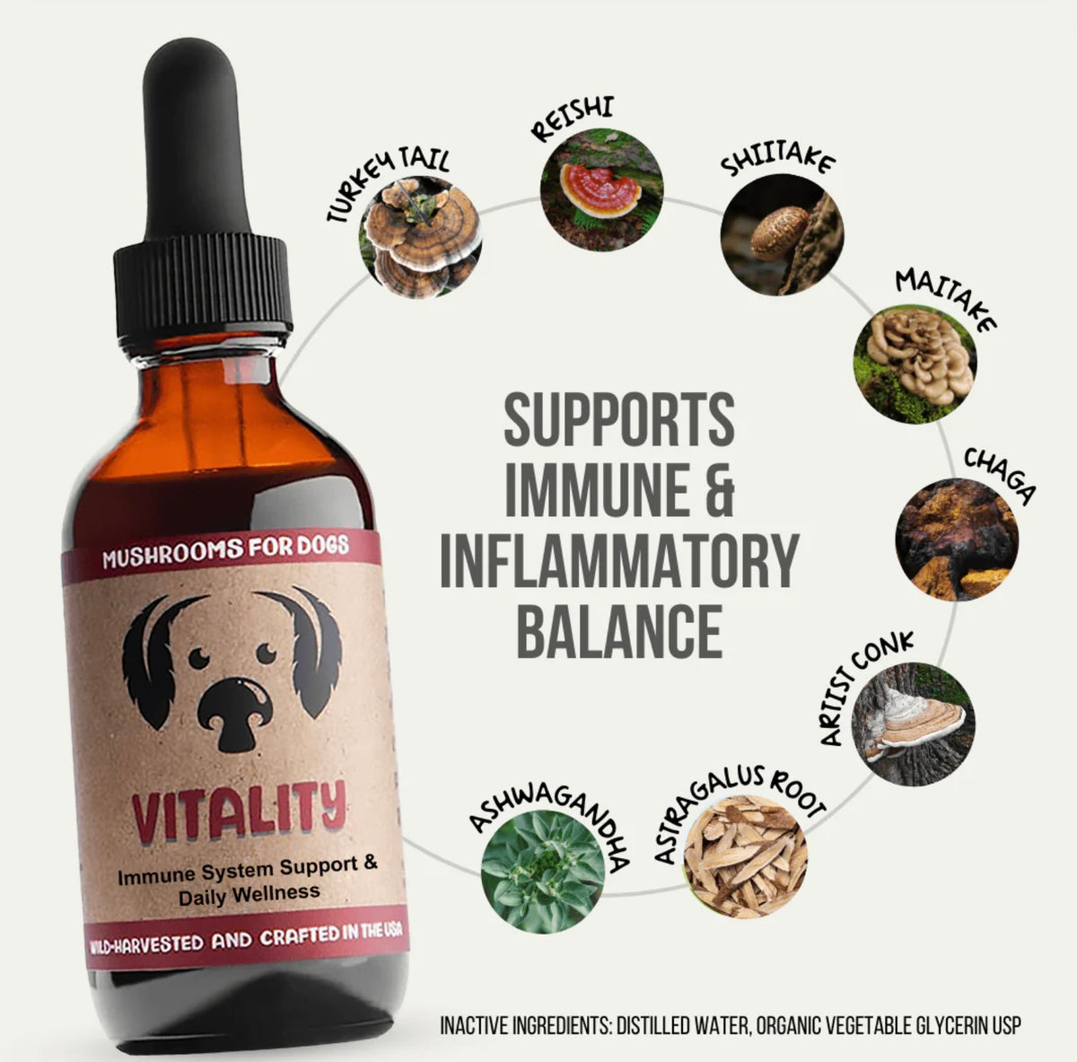 MyCoDog Mushroom Tinctures