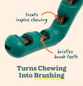 Woof Bite n' Brush