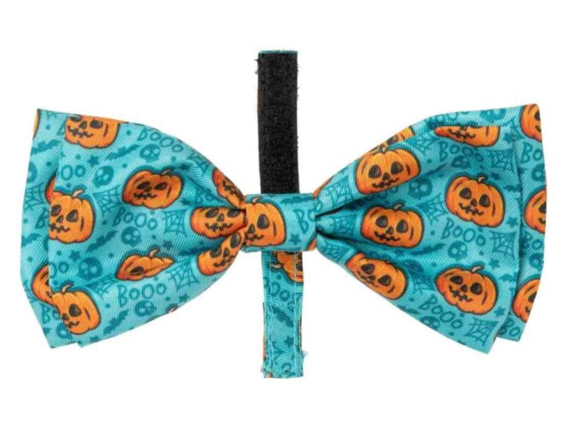 Bow Tie Jack Jack