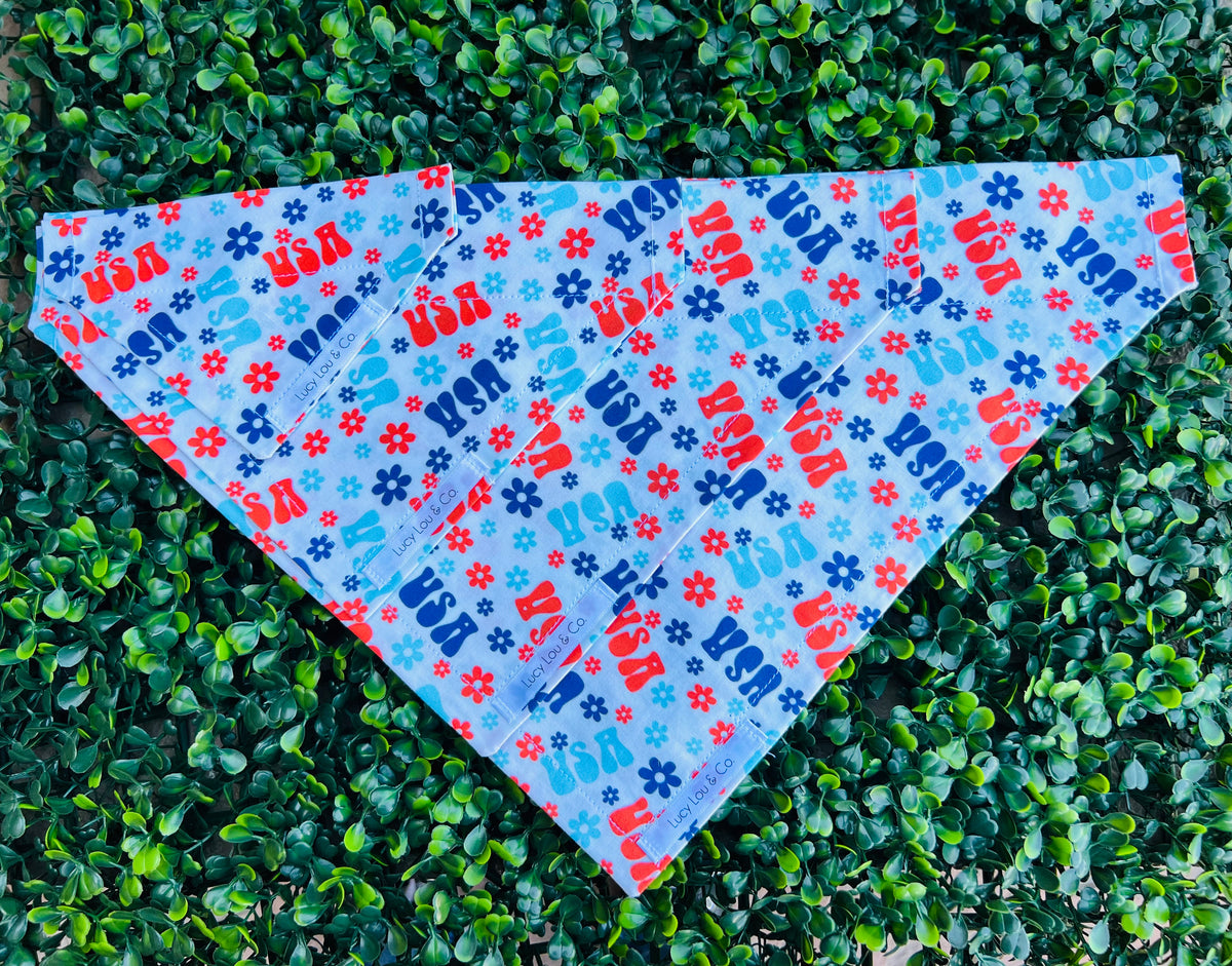 USA Bandana