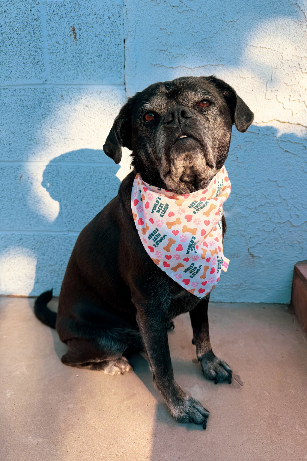 Valentine’s Day Bandanas