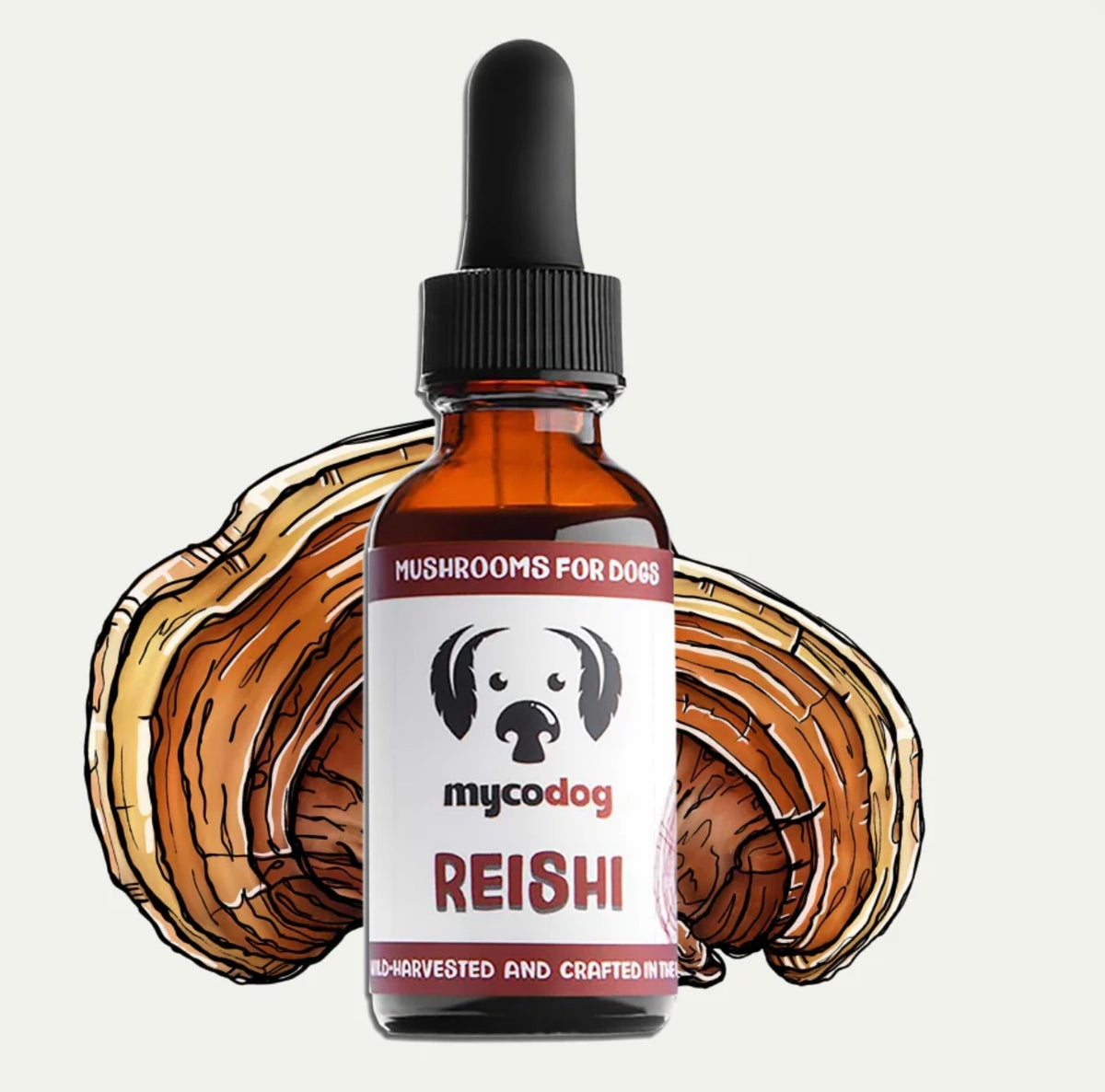 MyCoDog Mushroom Tinctures