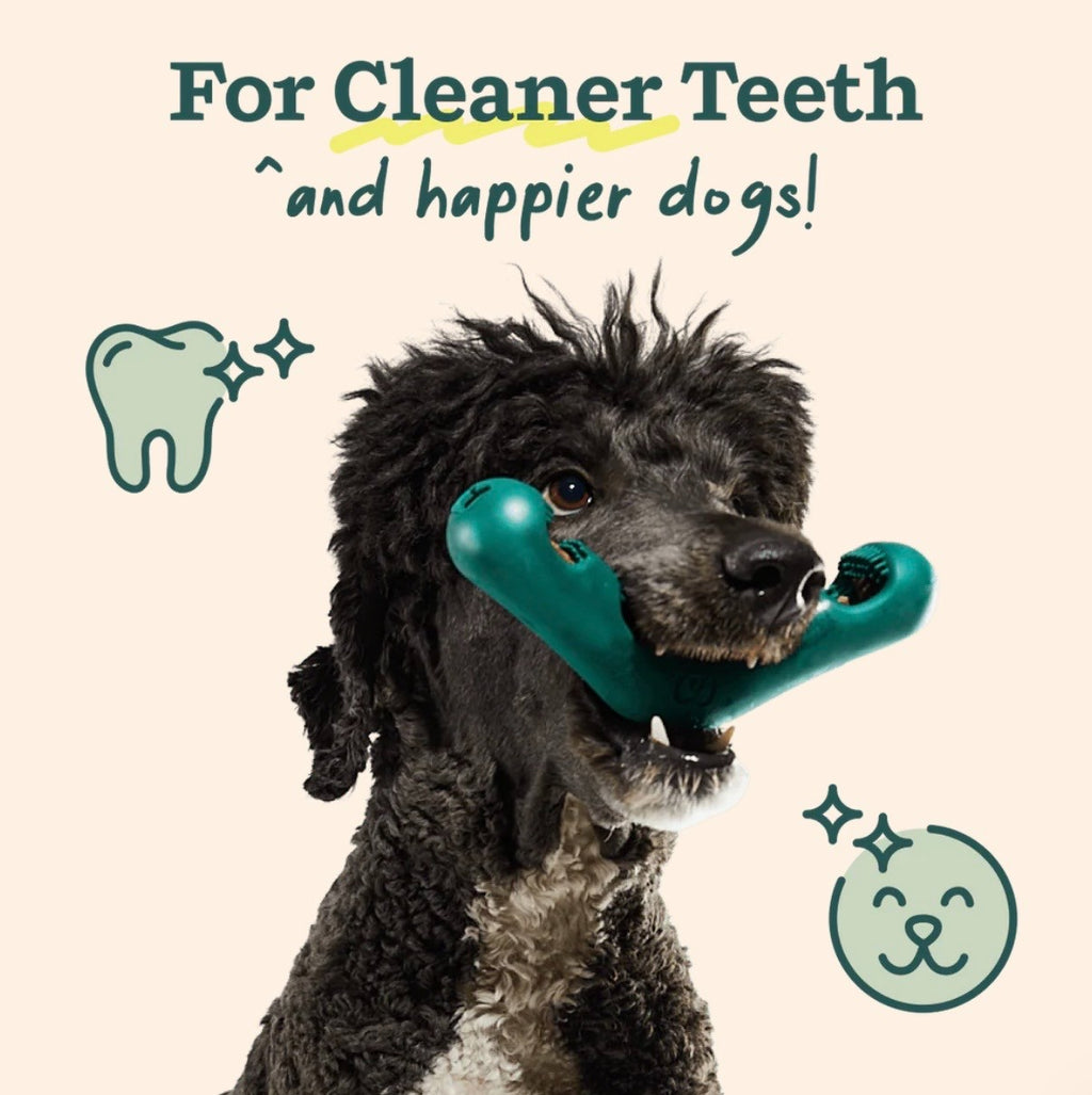 Woof Bite n' Brush