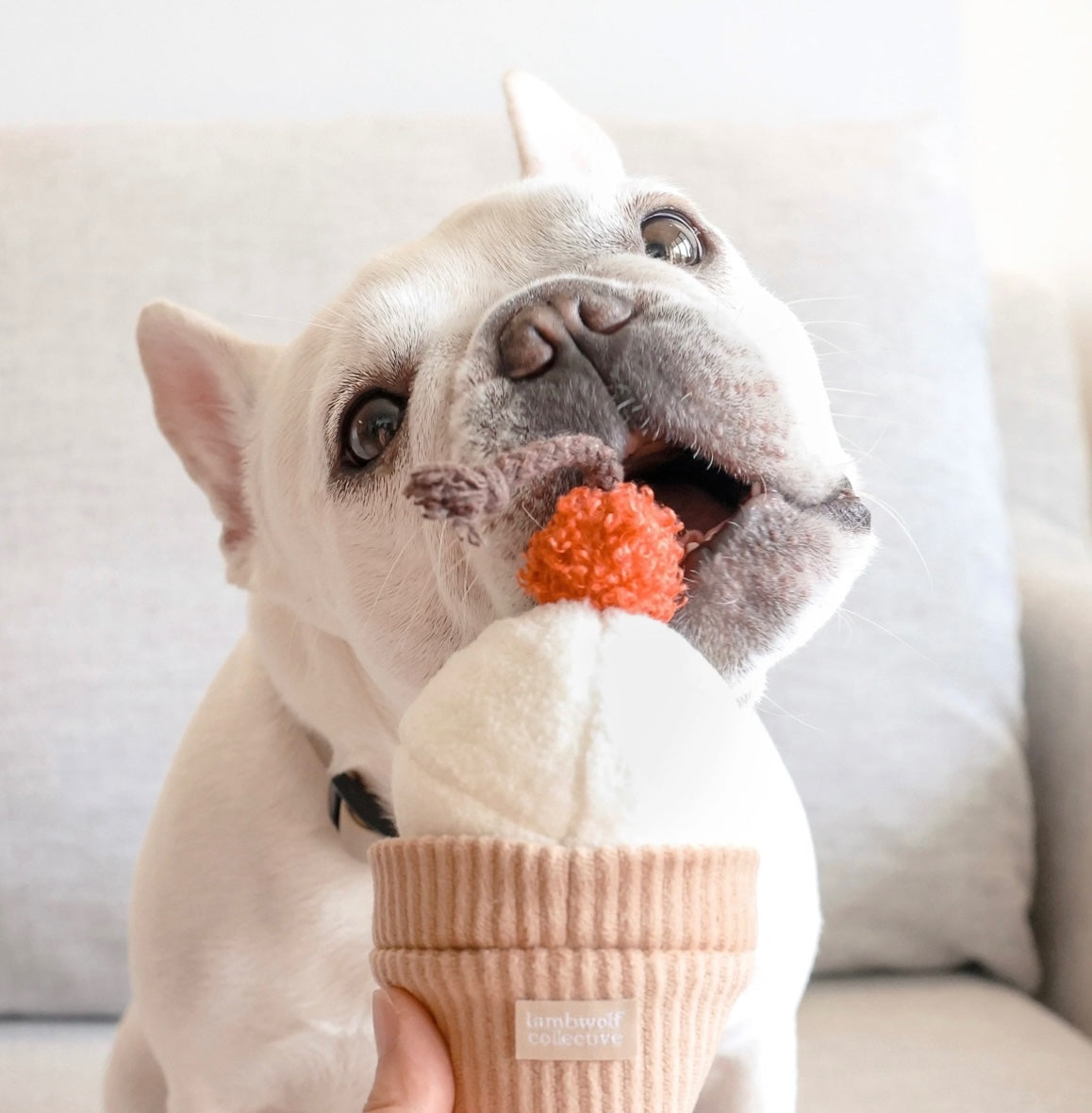 Lambwolf Ice Cream Pop