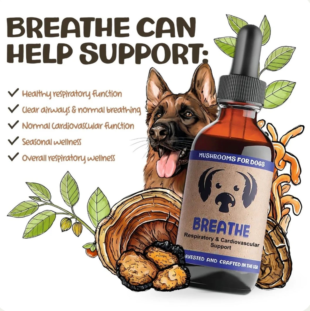 MyCoDog Mushroom Tinctures
