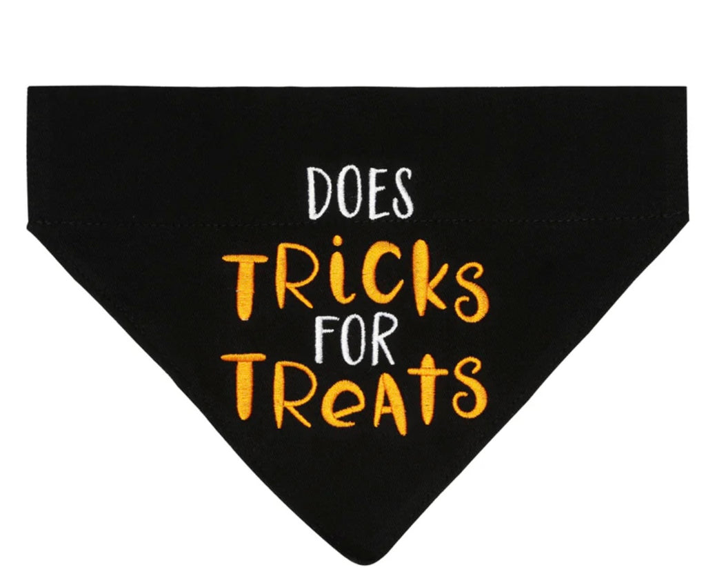 Fall Bandanas