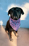 Valentine’s Day Bandanas