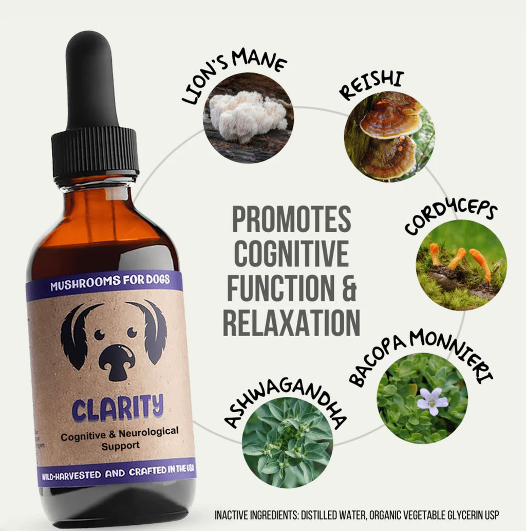 MyCoDog Mushroom Tinctures